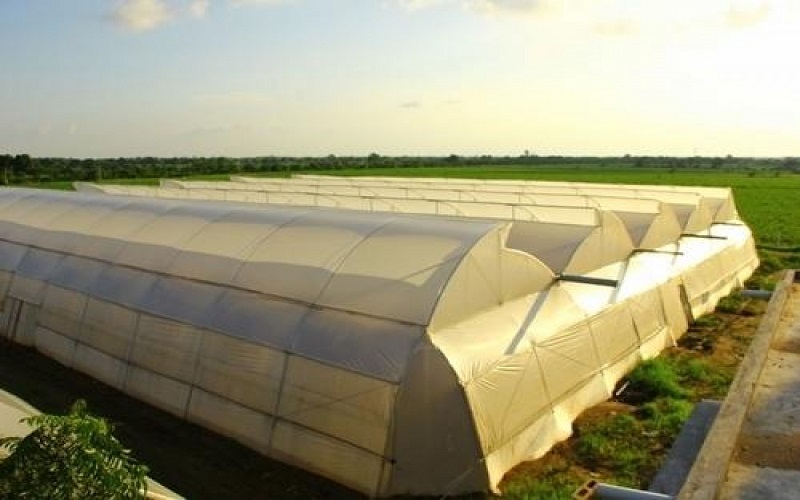 manufacturer or supplier of greenhousepoly house 7 1
