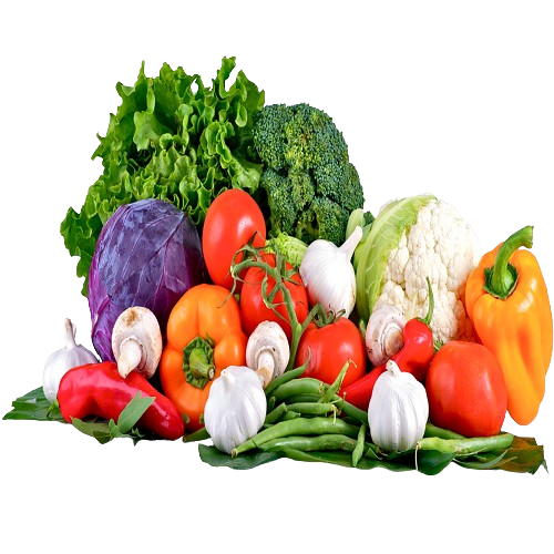 Home untitled design 6 removebg preview