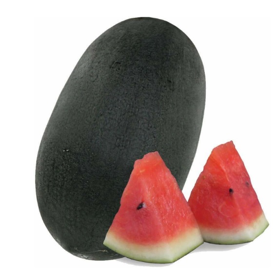 fresh farm watermeloan 3 kg / कलिंगड ३ किलो