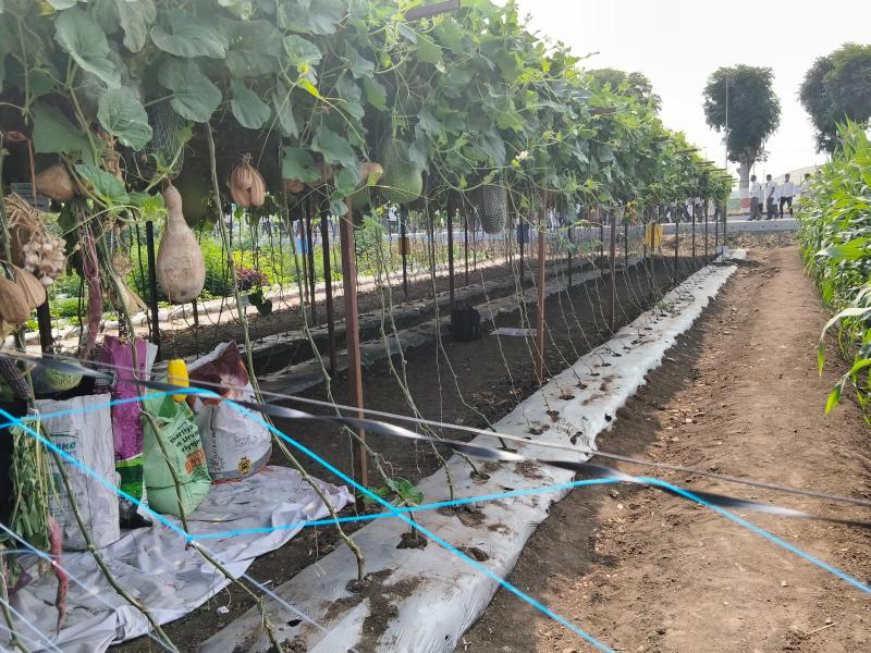 Home whatsapp image 2026 04 10 at 2.13.13 pm (1)