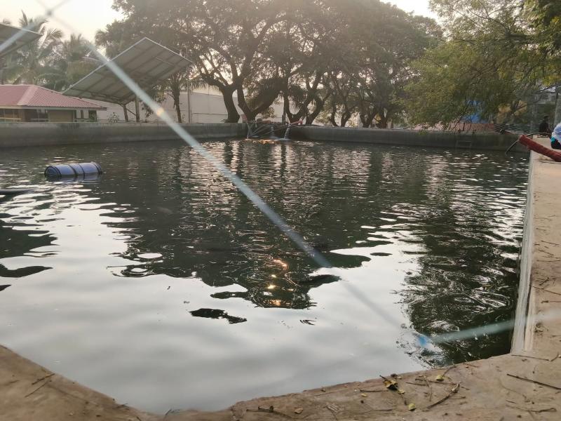 Home whatsapp image 2026 04 10 at 2.13.13 pm