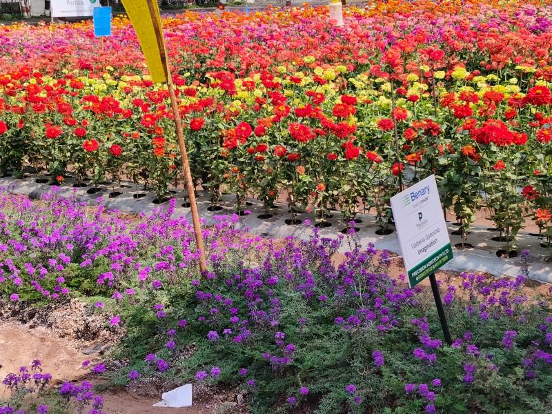 Home whatsapp image 2026 04 10 at 2.13.15 pm