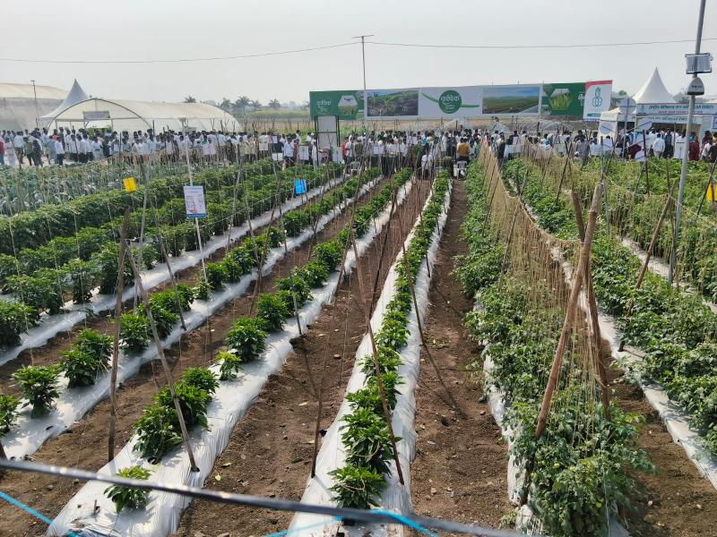 Home whatsapp image 2026 04 10 at 2.14.01 pm