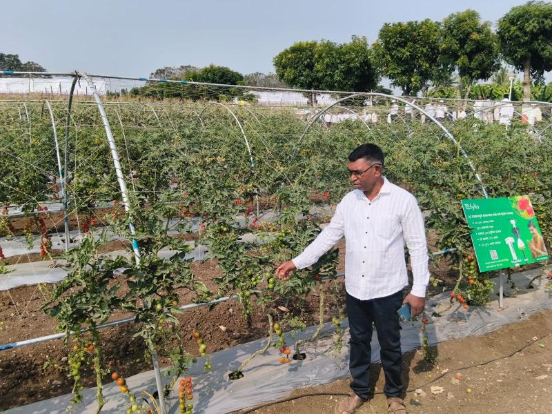 Home whatsapp image 2026 04 10 at 2.14.04 pm